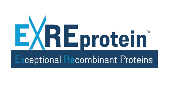 Exreprotein