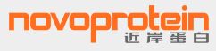 Novoprotein