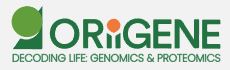 ORIGENE