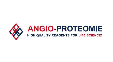 ANGIO-PROTEOMIE
