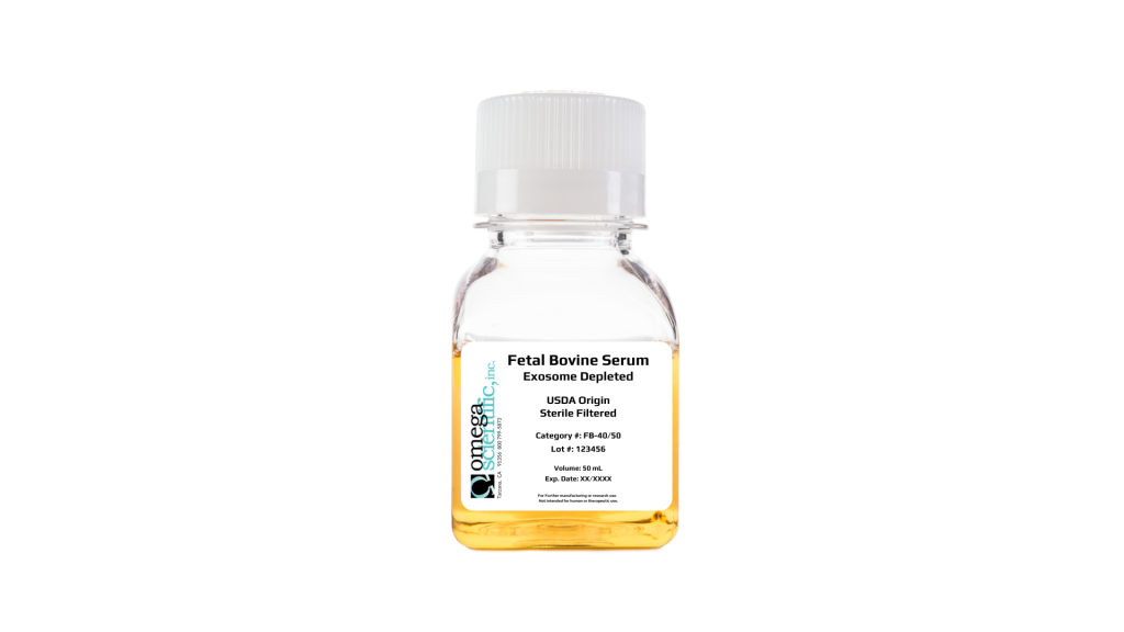 Fetal Bovine Serum