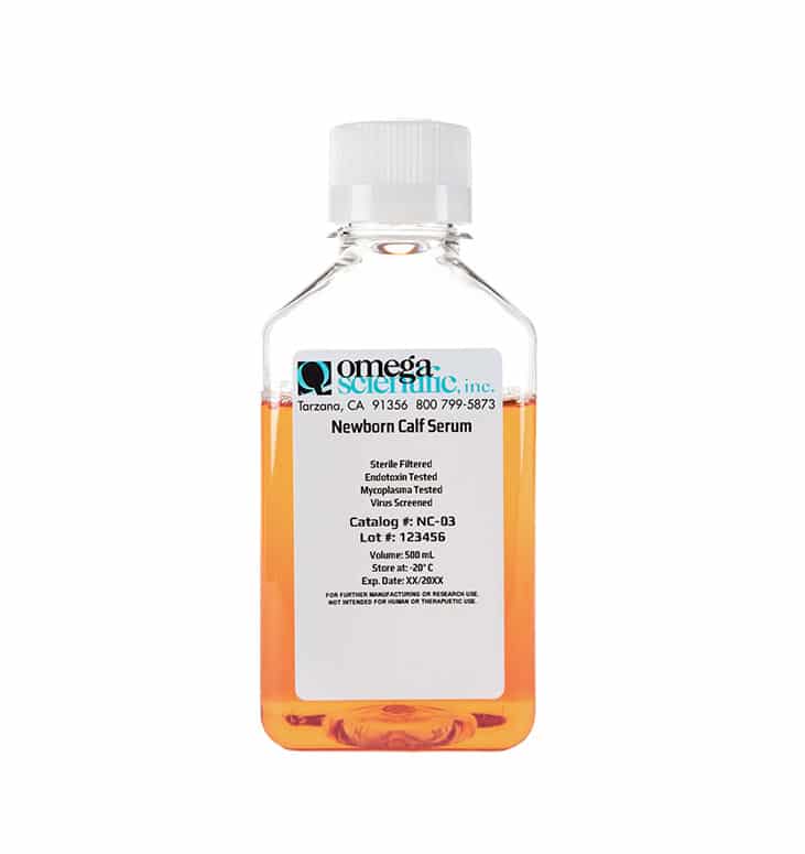 Bovine Calf Serum