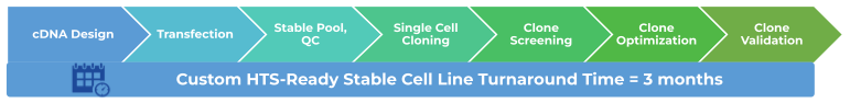 Custom Cell Line Development