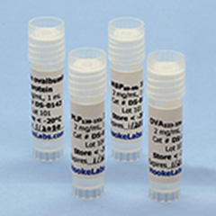 Agar Plates