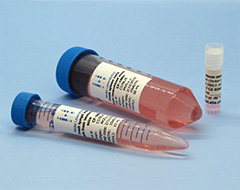 Agar Plates