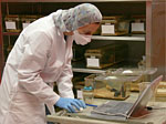 Agar Plates