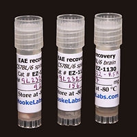 Agar Plates