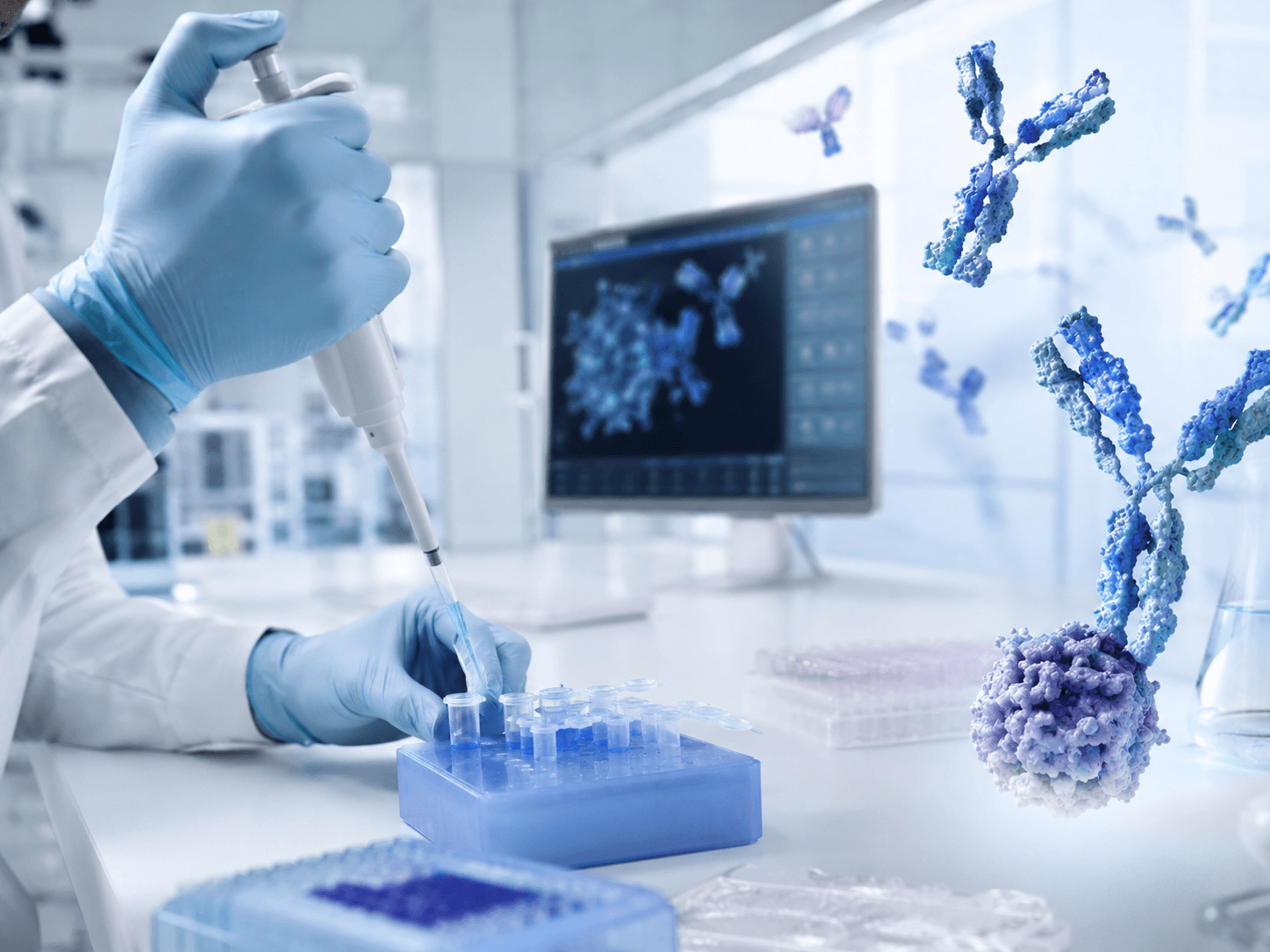 Antibodies