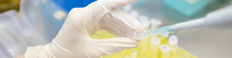 Functionalized Oligosaccharides