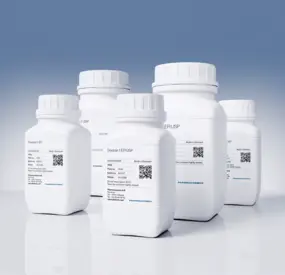 Pharmaceutical Quality Dextran