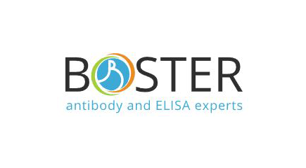 Boster Bio