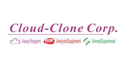 Cloud-clone
