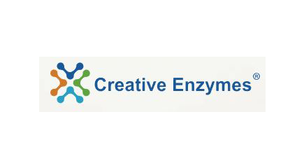 Creative Enzymes